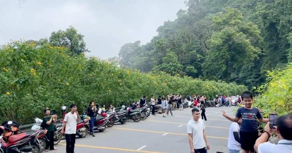 巴维国家公园野向日葵季开园 违规骑手将被拒售票